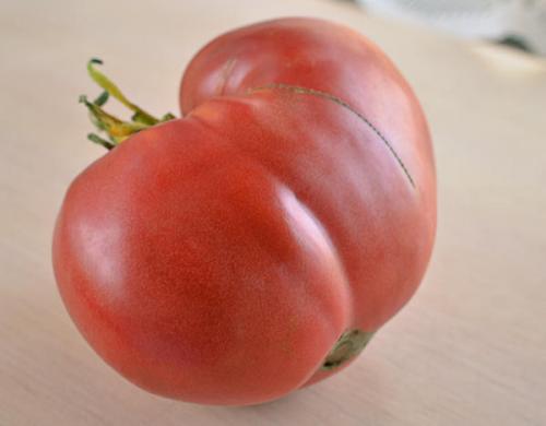 Томат Розовый мед