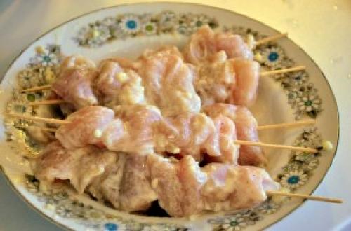 Шашлык на шпажках на сковороде. Куриные шашлычки на шпажках на сковороде