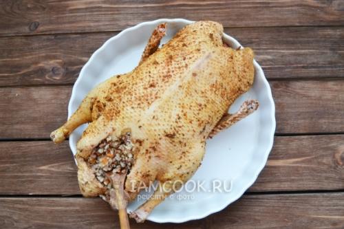 Как запекать утку в духовке с гречкой. Утка, фаршированная гречкой