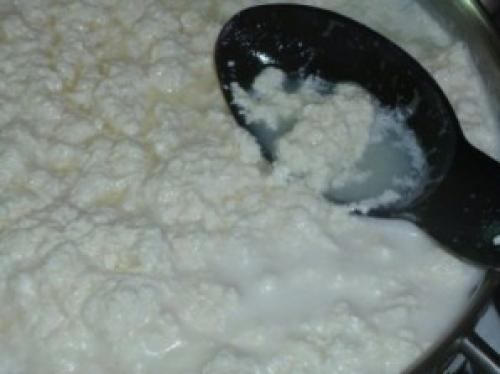 Сыр домашний адыгейский. Адыгейский сыр в домашних условиях