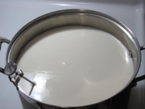 Твердый сыр в домашних с закваской. Твердый сыр в домашних условиях