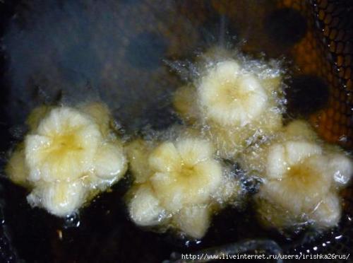 Цветы из слоеного теста.