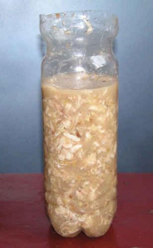 Куриный рулет в бутылке пластиковой. Куриный рулет в бутылке