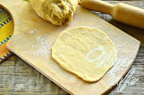 Лепешки на молоке пышные. Лепешки на молоке без дрожжей на сковороде