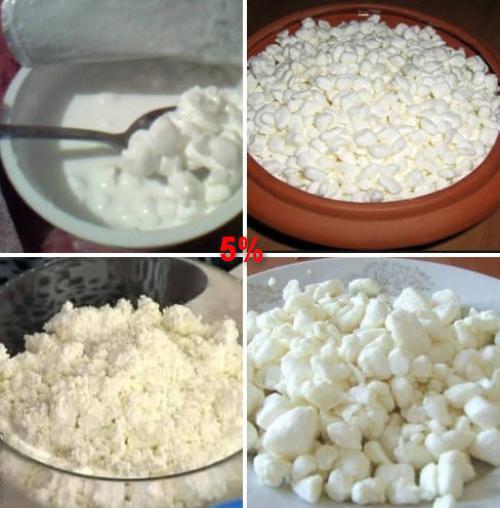 Творожный низкокалорийный сыр. Восемь самых нежирных сыров