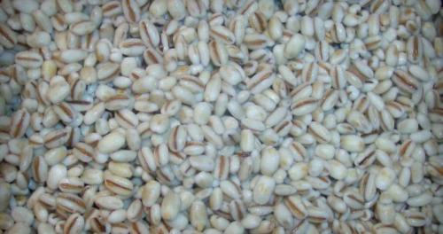 Как приготовить перловую кашу. Как варить перловую кашу — нюансы приготовления