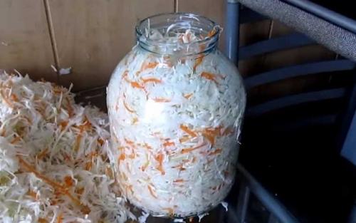 Капуста в горячем рассоле на зиму. Капуста быстрого приготовления в горячем рассоле с растительным маслом