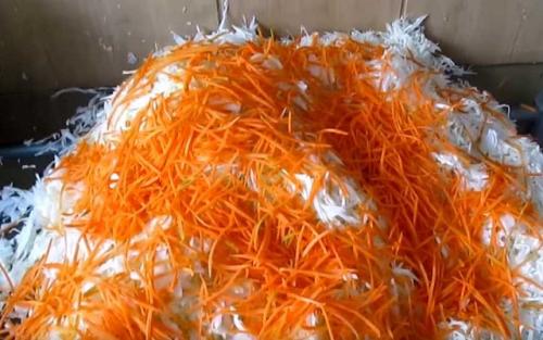 Капуста в горячем рассоле на зиму. Капуста быстрого приготовления в горячем рассоле с растительным маслом