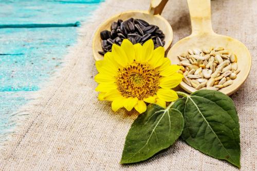 В поисках здорового сыра: как избежать избыточного потребления соли 07 В поисках здорового сыра: как избежать избыточного потребления соли 07