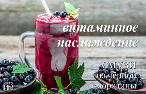 Смузи с черной смородиной: витаминная бомба для здоровья