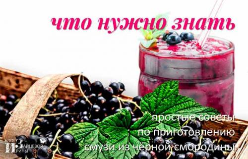 С какими фруктами или ягодами лучше сочетать черную смородину в смузи. Смузи из черной смородины. Рецепты и рекомендации