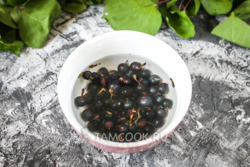 Смузи из Черной Смородины: Простые и Питательные Рецепты для Блендера 12 Смузи из Черной Смородины: Простые и Питательные Рецепты для Блендера 12