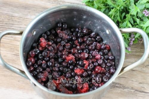 Смузи из Черной Смородины: Простые и Питательные Рецепты для Блендера 02 Смузи из Черной Смородины: Простые и Питательные Рецепты для Блендера 02