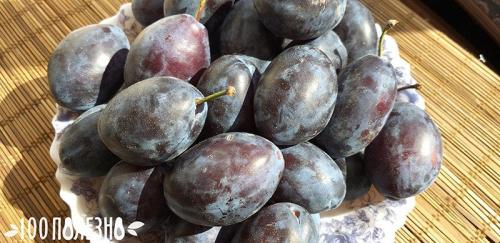 Польза сливы для женщин. Сливы: польза и вред для здоровья