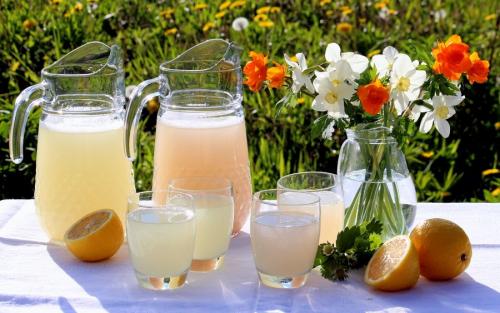 Как утолить жажду в домашних условиях. 9 освежающих напитков, которые спасут от жары