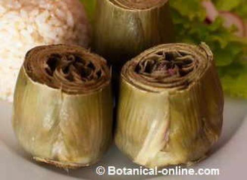 Cirrhosis Diet. Adequate foods for cirrhosis