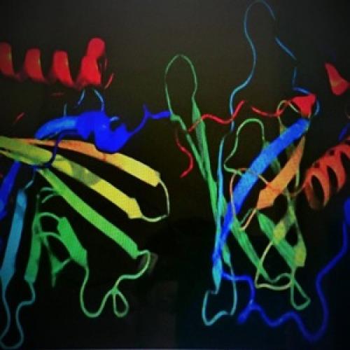 Симптомы и основные методы лечения панкреатита. Как протекает хронический панкреатит? 01