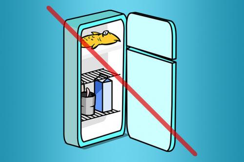 Как ухаживать за портативным блендером, чтобы он служил дольше. Пусть Ваш блендер служит дольше