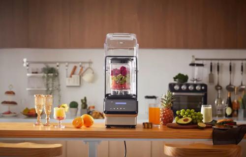 Топ-10 профессиональных стационарных блендеров: рейтинг и обзор 01