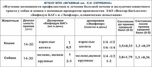 Топ-15 пробиотиков для собак 2025: рейтинг и обзор