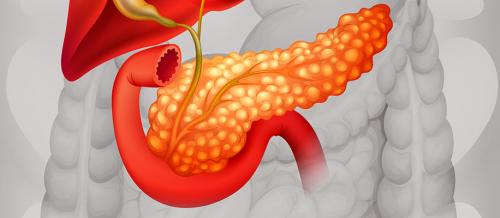 Топ-5 ферментов для здорового пищеварения: как улучшить переваривание пищи 01