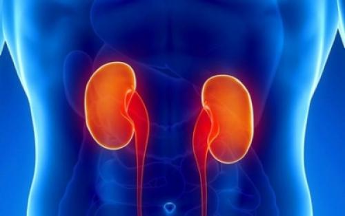 Карантин в детском саду. Алгоритм введения карантина в детском саду 02