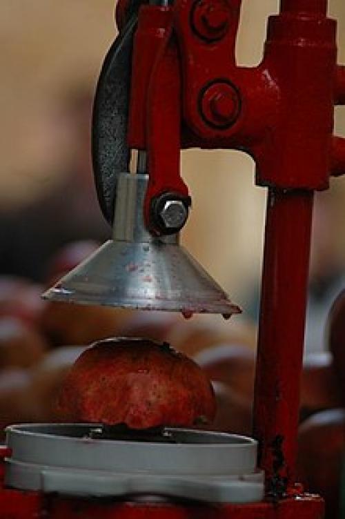 Мифы о гранатовом соке. Чем полезен гранатовый сок 01