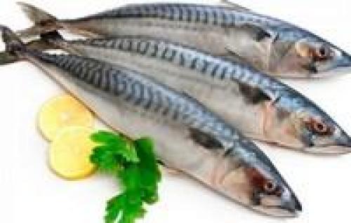 Чем питаться при поджелудочной язве. Что такое панкреатит? 09