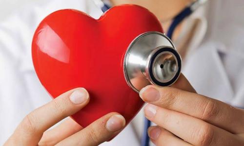 Рейтинг самых полезных продуктов. Полезные продукты для организма человека