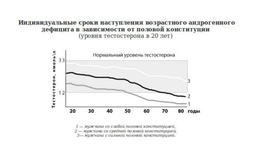 Питание для повышения тестостерона. Фрукты, овощи, ягоды 02