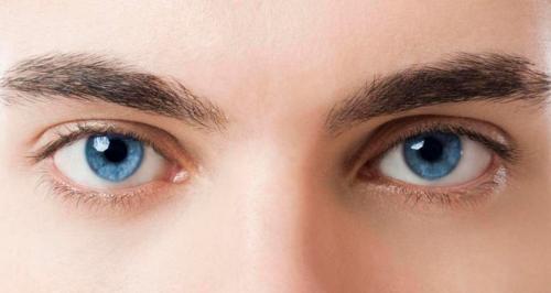 Лучшие контактные линзы на 3 месяца. Преимущества