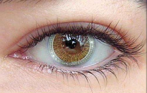 Дорогие линзы для глаз. Самые дорогие контактные линзы