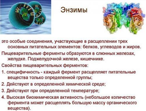 Как слоеные трубочки с селедочной массой влияют на здоровье. Трубочка с белковым кремом. Калорийность 1 шт. на 100 грамм, БЖУ. Рецепты