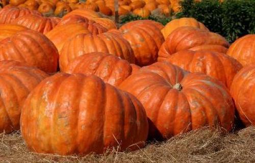 Топ-10 самых полезных овощей 2022. Топ 10: Самые полезные овощи мира