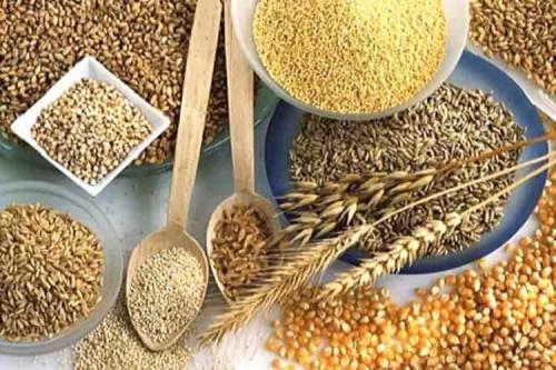 Полезные продукты в супермаркете. ПП-корзина: список продуктов для правильного питания