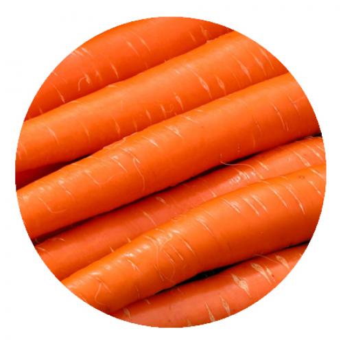 Топ-5 самых полезных продуктов в мире. 5 самых полезных продуктов на Земле, которые обязательно должен есть каждый 04