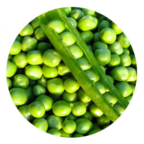 Топ-5 самых полезных продуктов в мире. 5 самых полезных продуктов на Земле, которые обязательно должен есть каждый 02