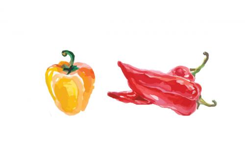 Самые полезные овощи. Какие овощи нужно есть каждый день?