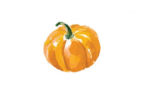 Самые полезные овощи. Какие овощи нужно есть каждый день?