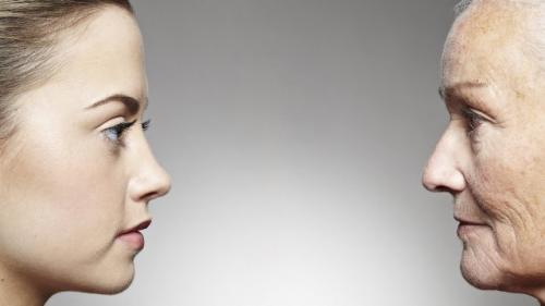 Вредные продукты для яичников. Факторы, влияющие на фертильность