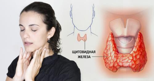 Щитовидная железа лечение препараты. Заболевания щитовидной железы: симптомы и лечение