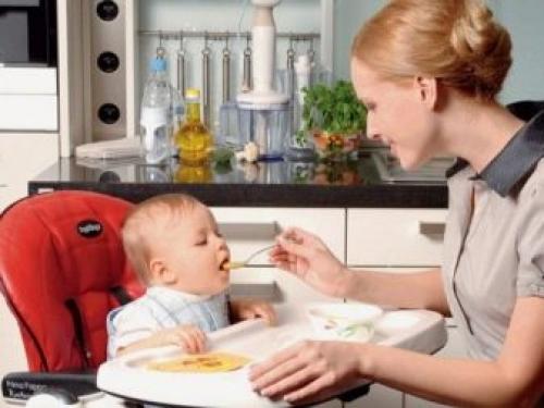 Что лучше измельчитель или блендер для домашней.. Что лучше выбрать – блендер или измельчитель? 01