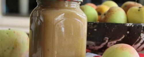 Яблоки в блендере на зиму. Яблочное пюре на зиму – 10 пошаговых рецептов в домашних условиях