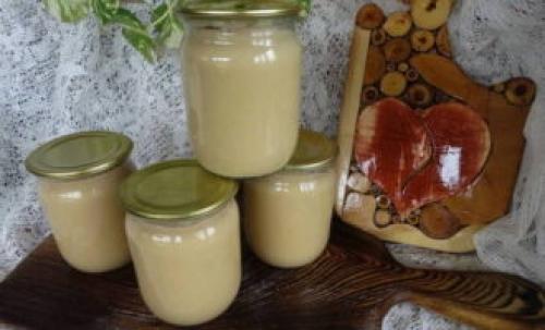 Яблоки в блендере на зиму. Яблочное пюре на зиму – 10 пошаговых рецептов в домашних условиях