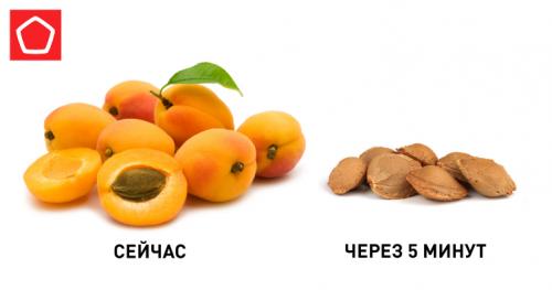 Польза и вред сливы для организма. Слива: полезные свойства и противопоказания 03 Польза и вред сливы для организма. Слива: полезные свойства и противопоказания 03