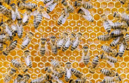 Снижение сахара в рационе: почему это важно и как это сделать 01