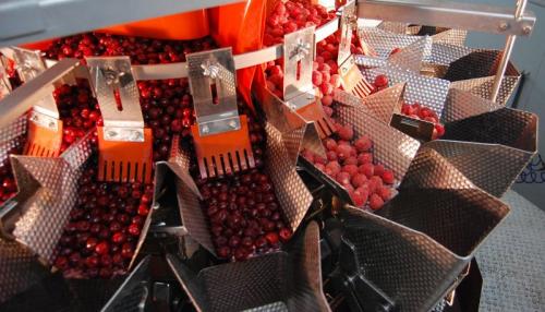 Не полезные фрукты. Вредные фрукты