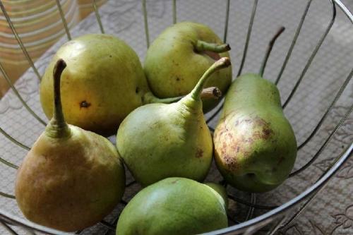 Не полезные фрукты. Вредные фрукты