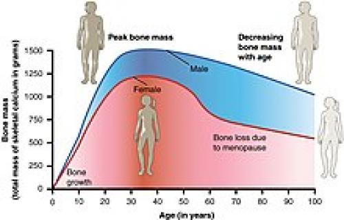 Похудение во время климаксе: возможно ли это и стоит ли это делать 02