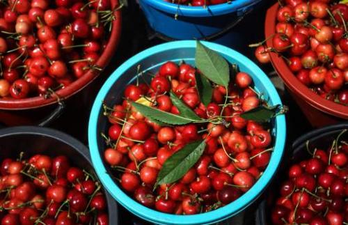 Какие виды детоксикации организма существуют